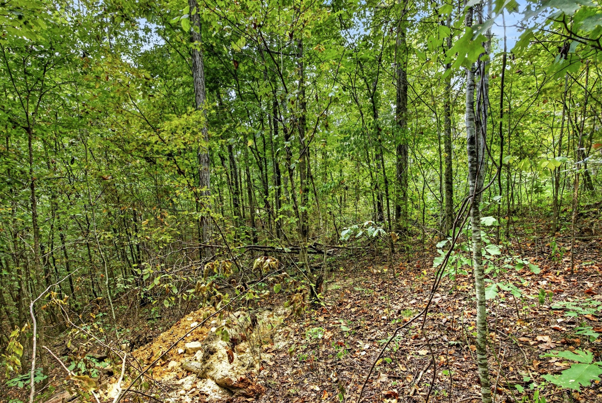 0 Timber Ridge Lane