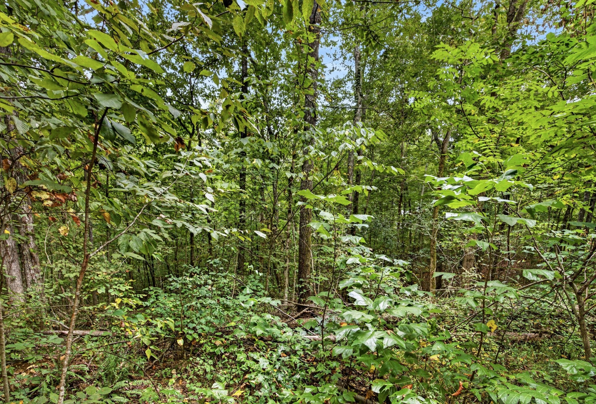 0 Timber Ridge Lane