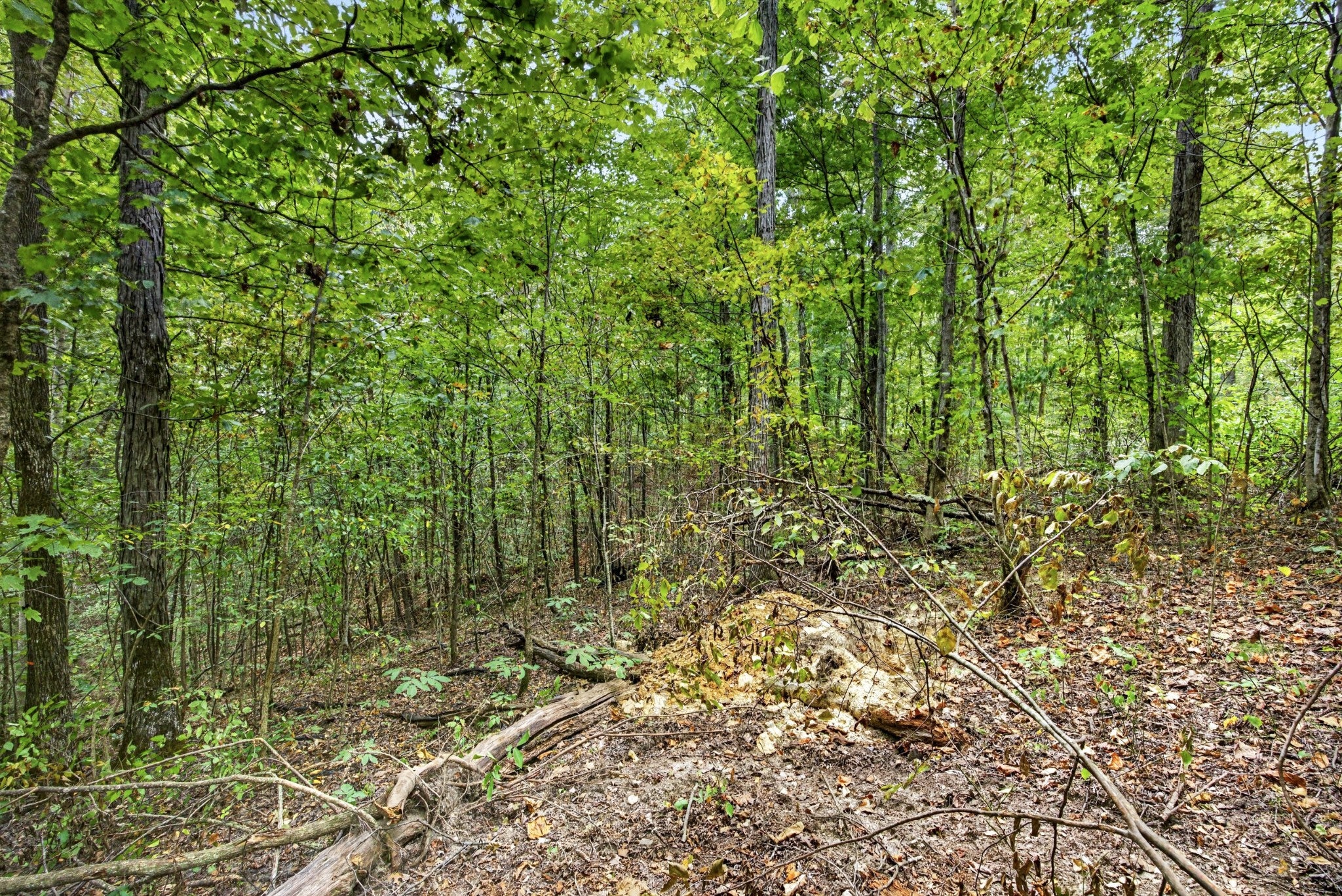0 Timber Ridge Lane