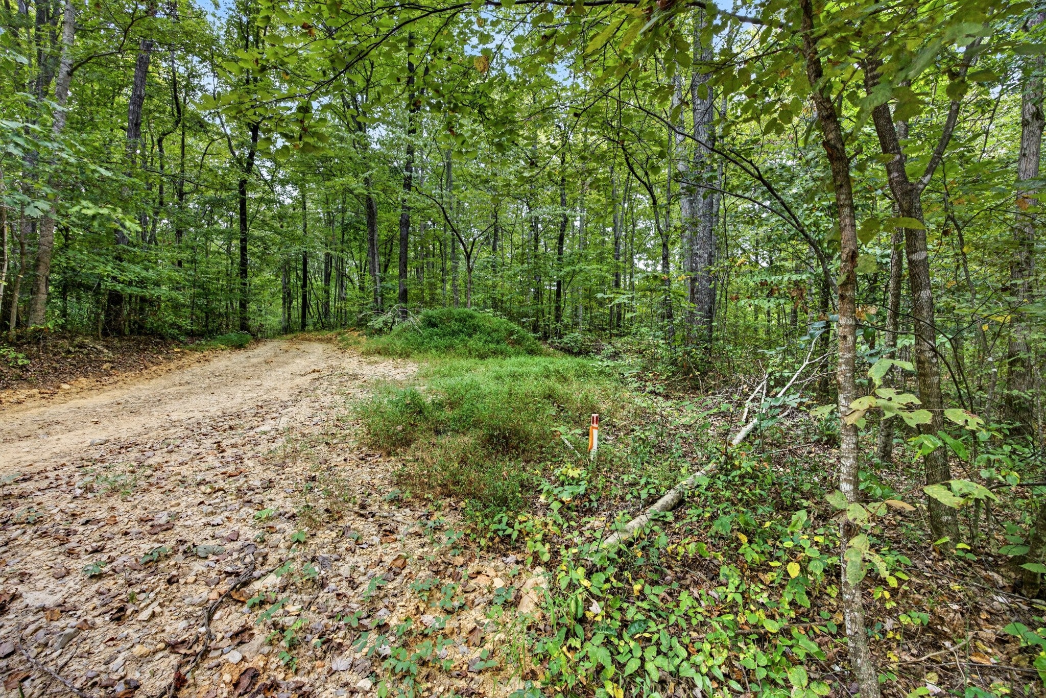 0 Timber Ridge Lane