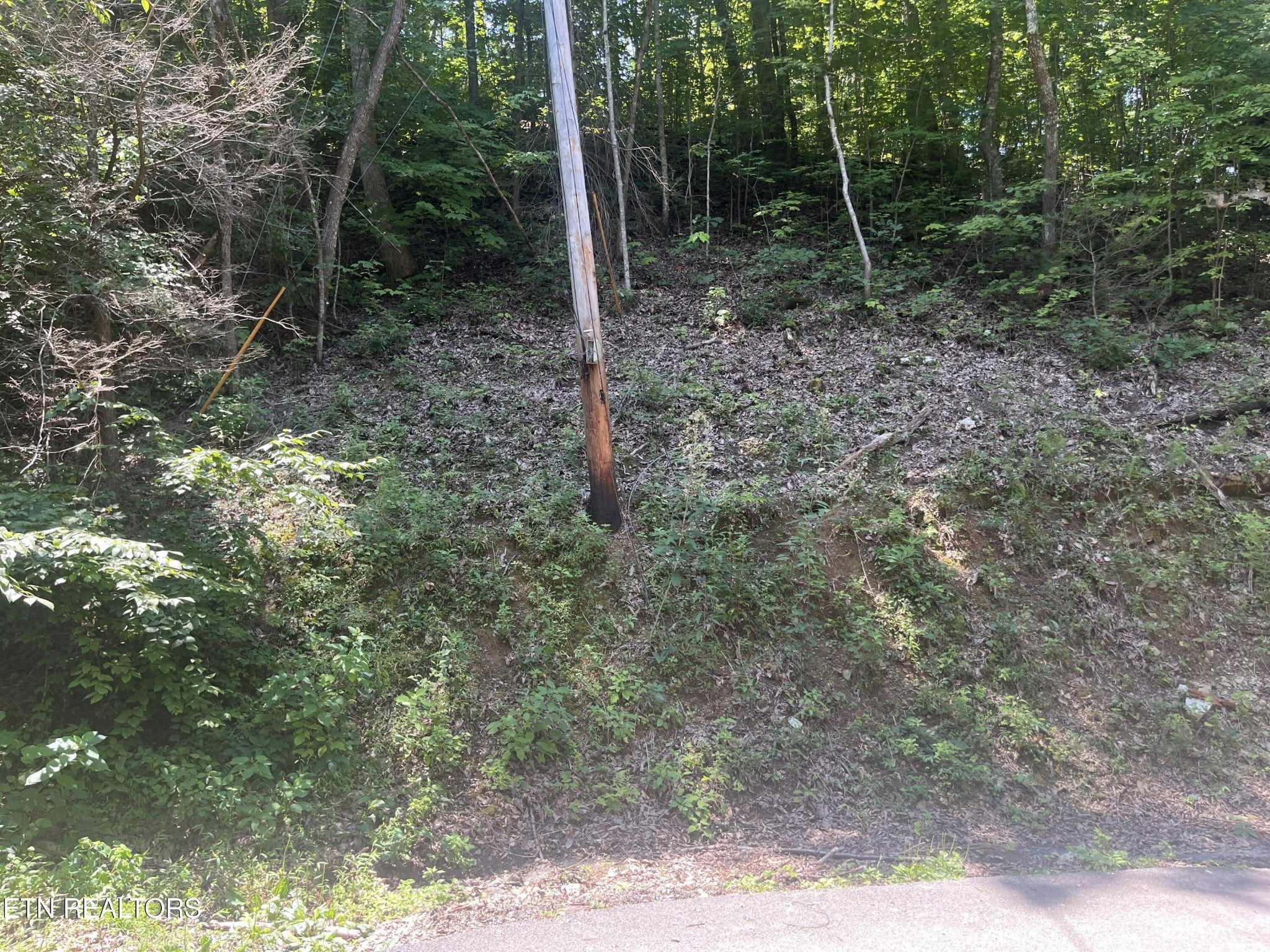 331 Ridgefield Drive