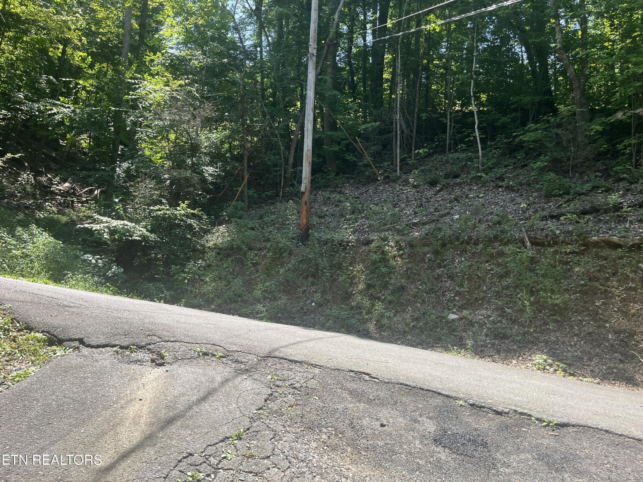 331 Ridgefield Drive
