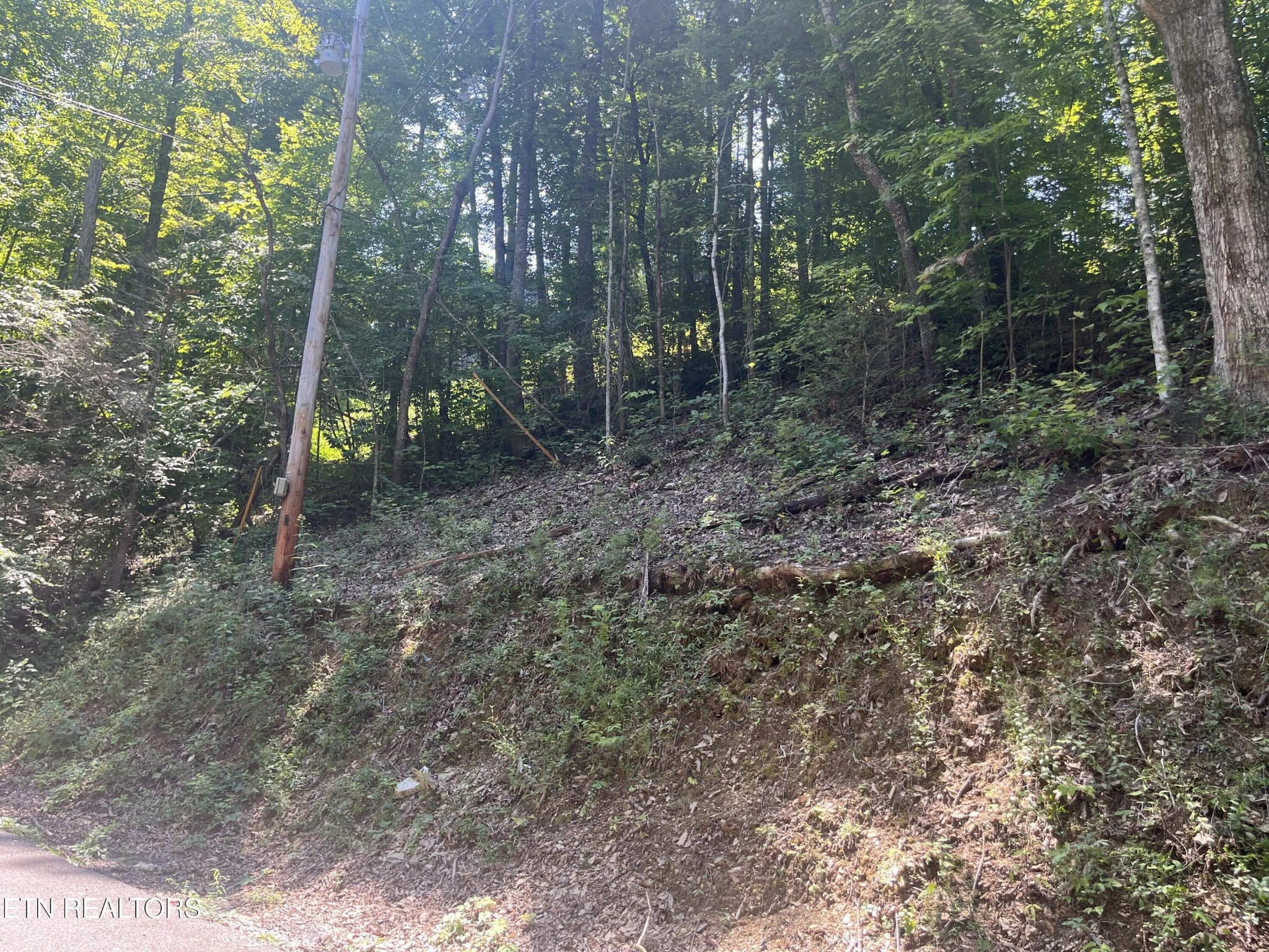 331 Ridgefield Drive