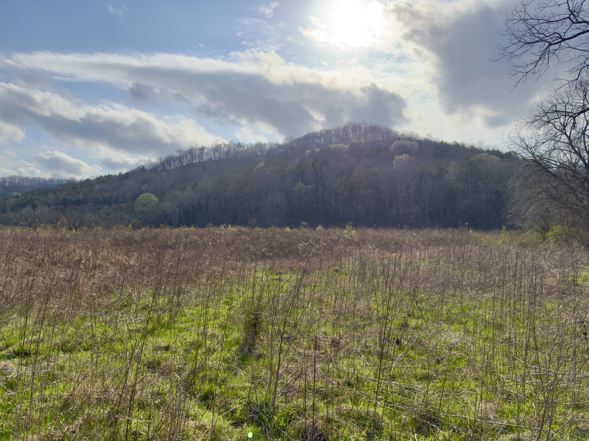 3780 Hurricane Creek Rd