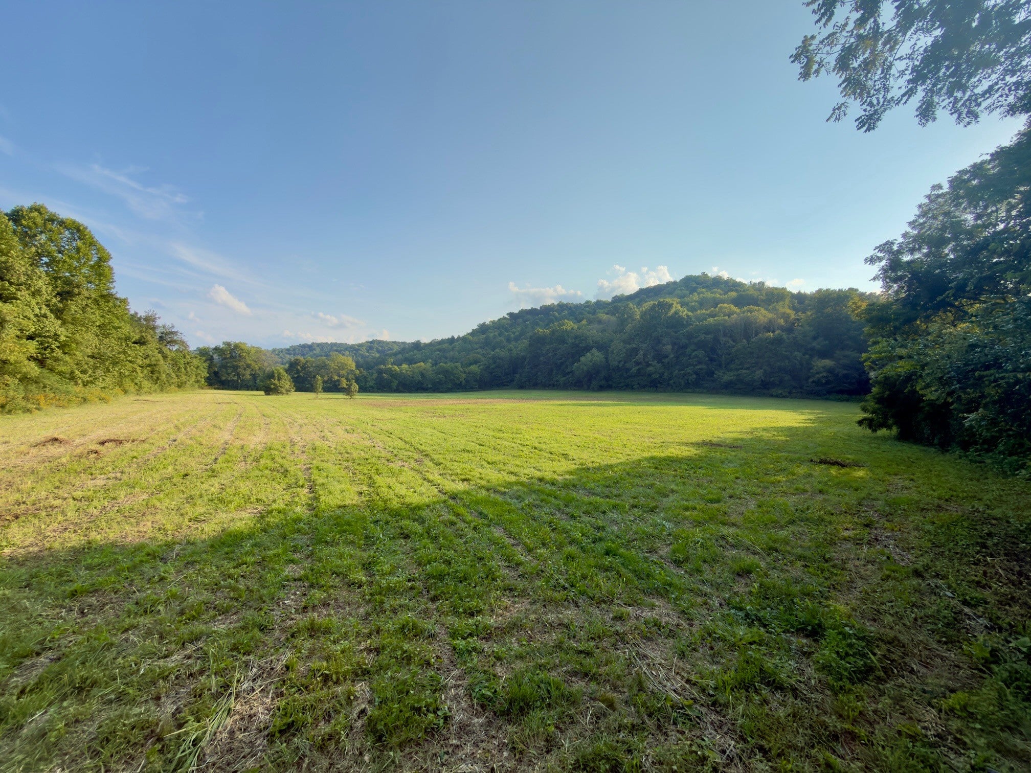3780 Hurricane Creek Rd - Photo 3
