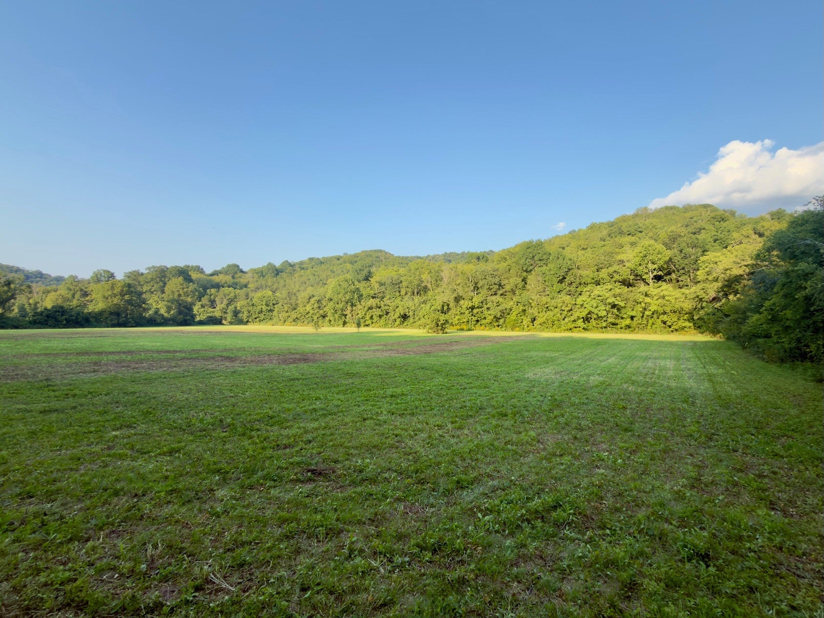 3780 Hurricane Creek Rd - Photo 2