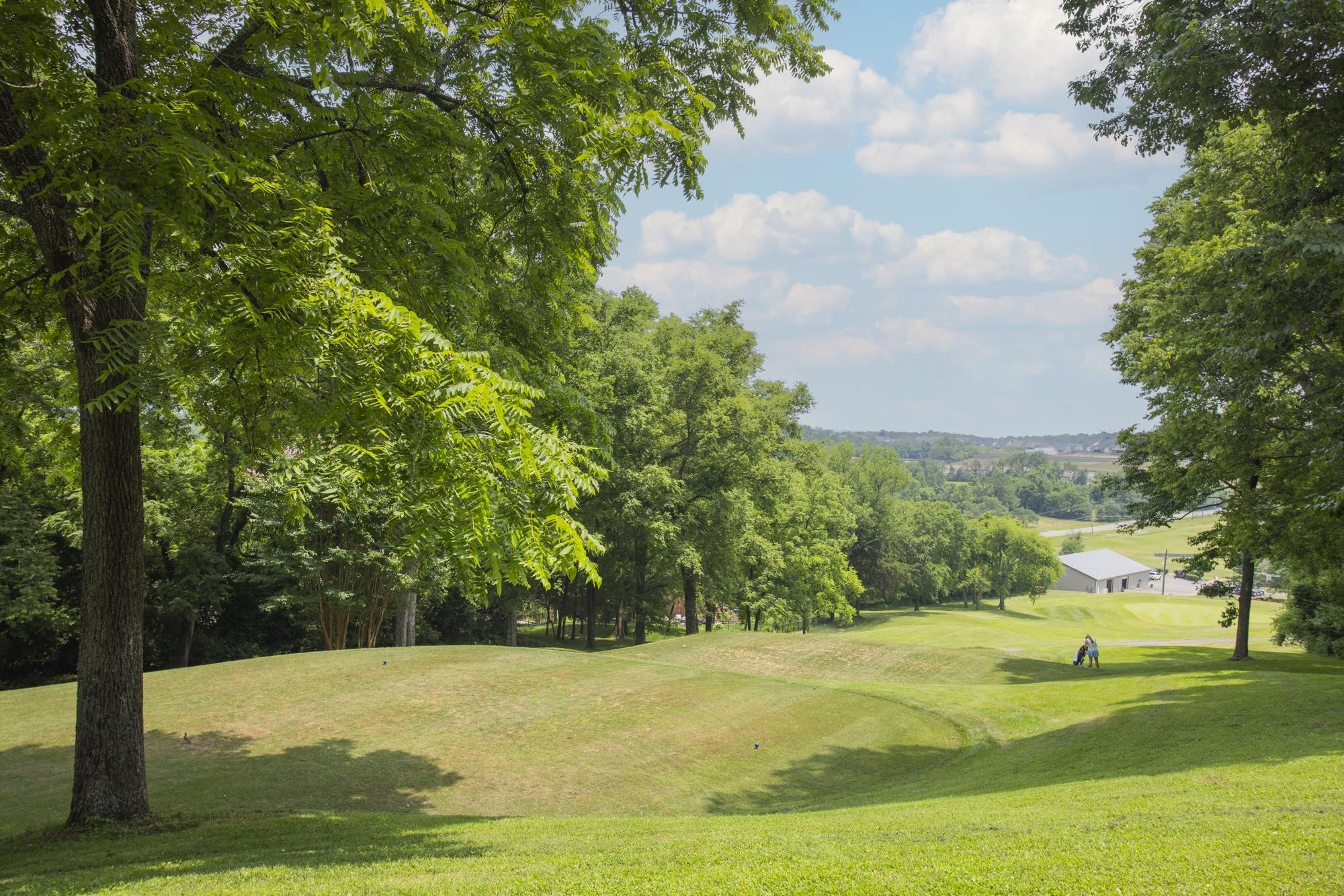 111 Country Hills Dr