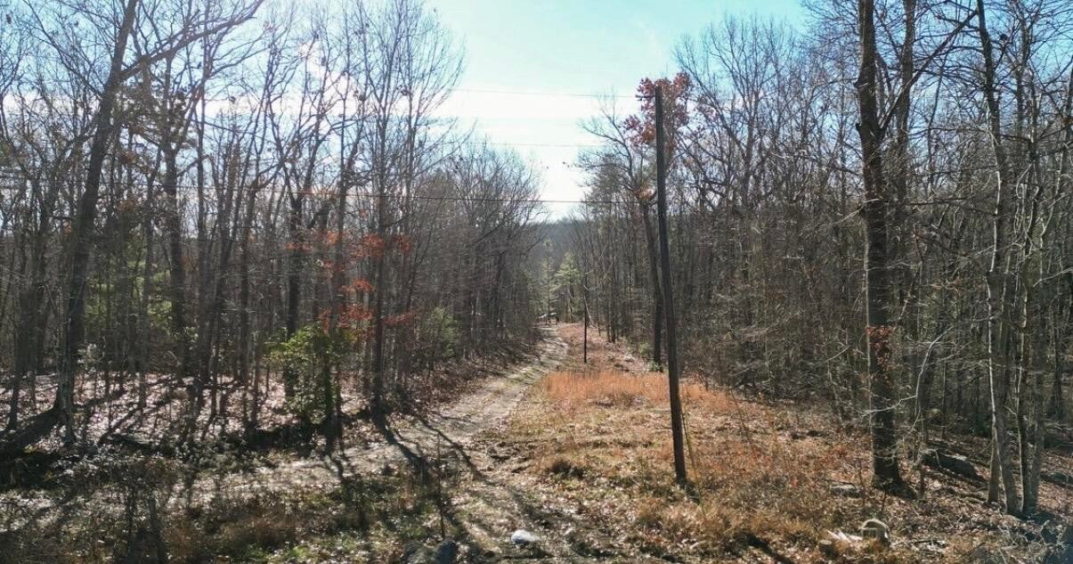 69 W Log Road W