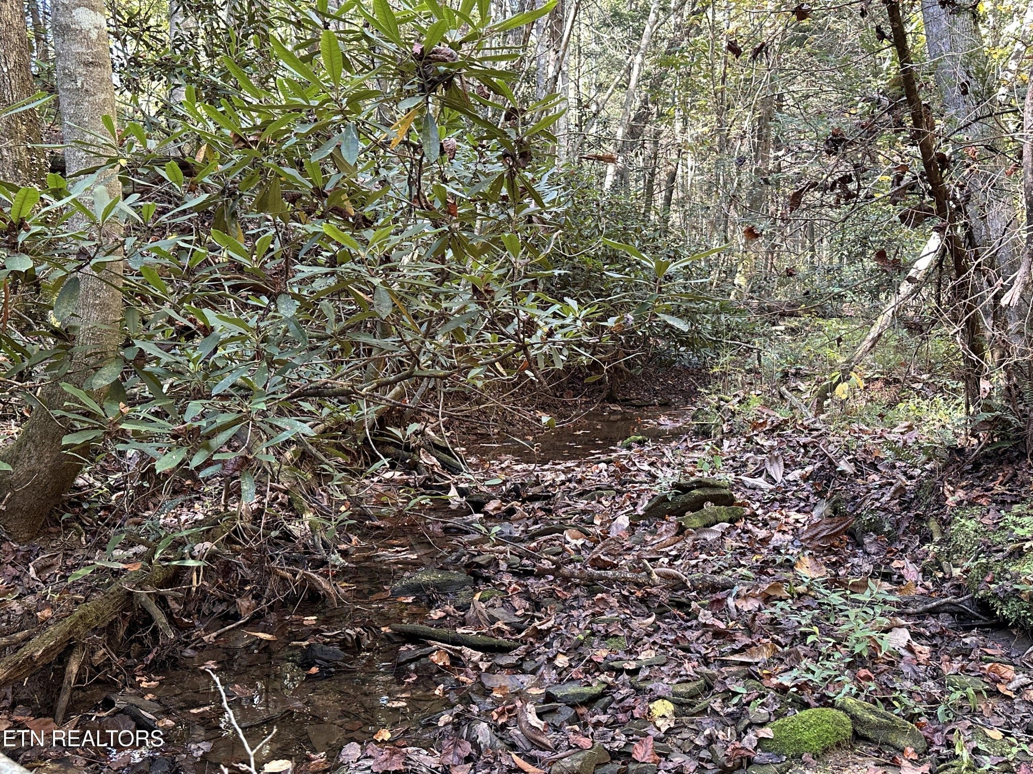 186 Cave Branch Rd