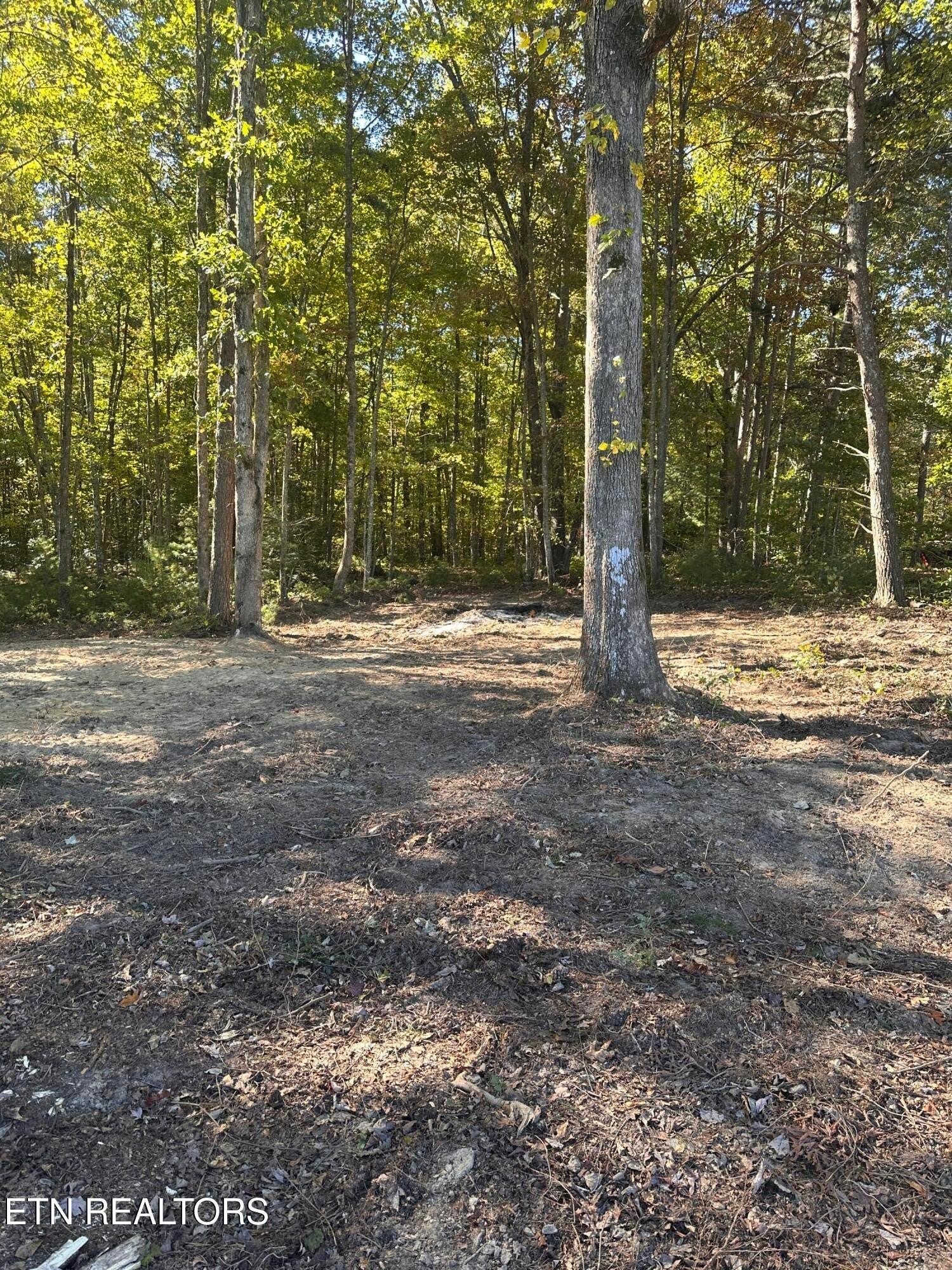 186 Cave Branch Rd