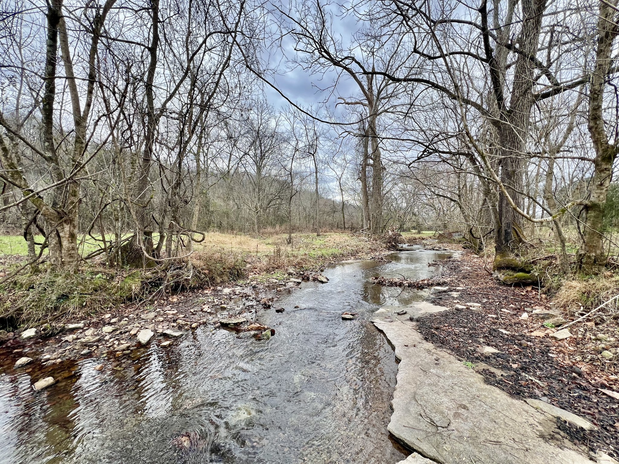 1595 Hurricane Creek Rd