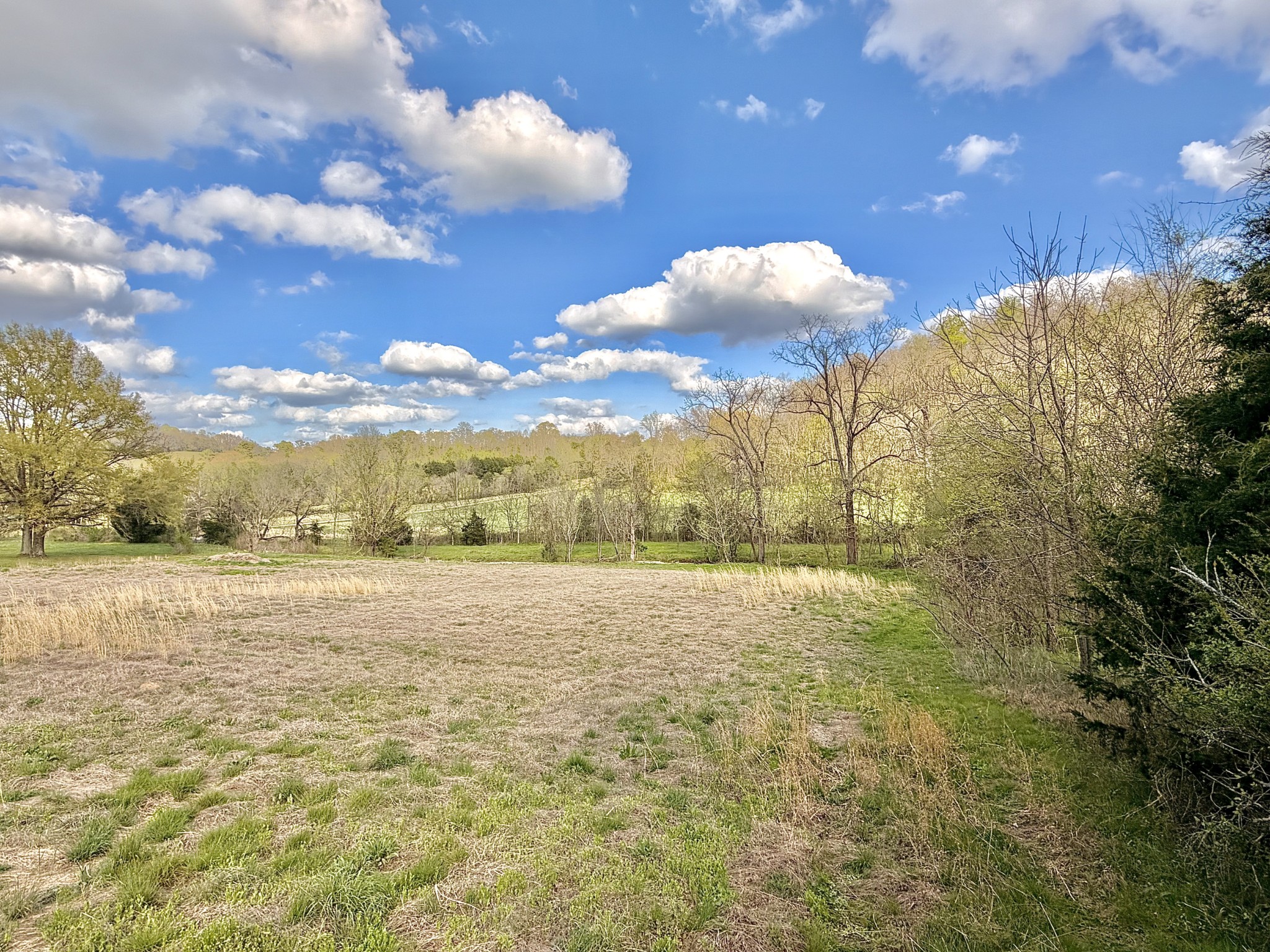 1595 Hurricane Creek Rd