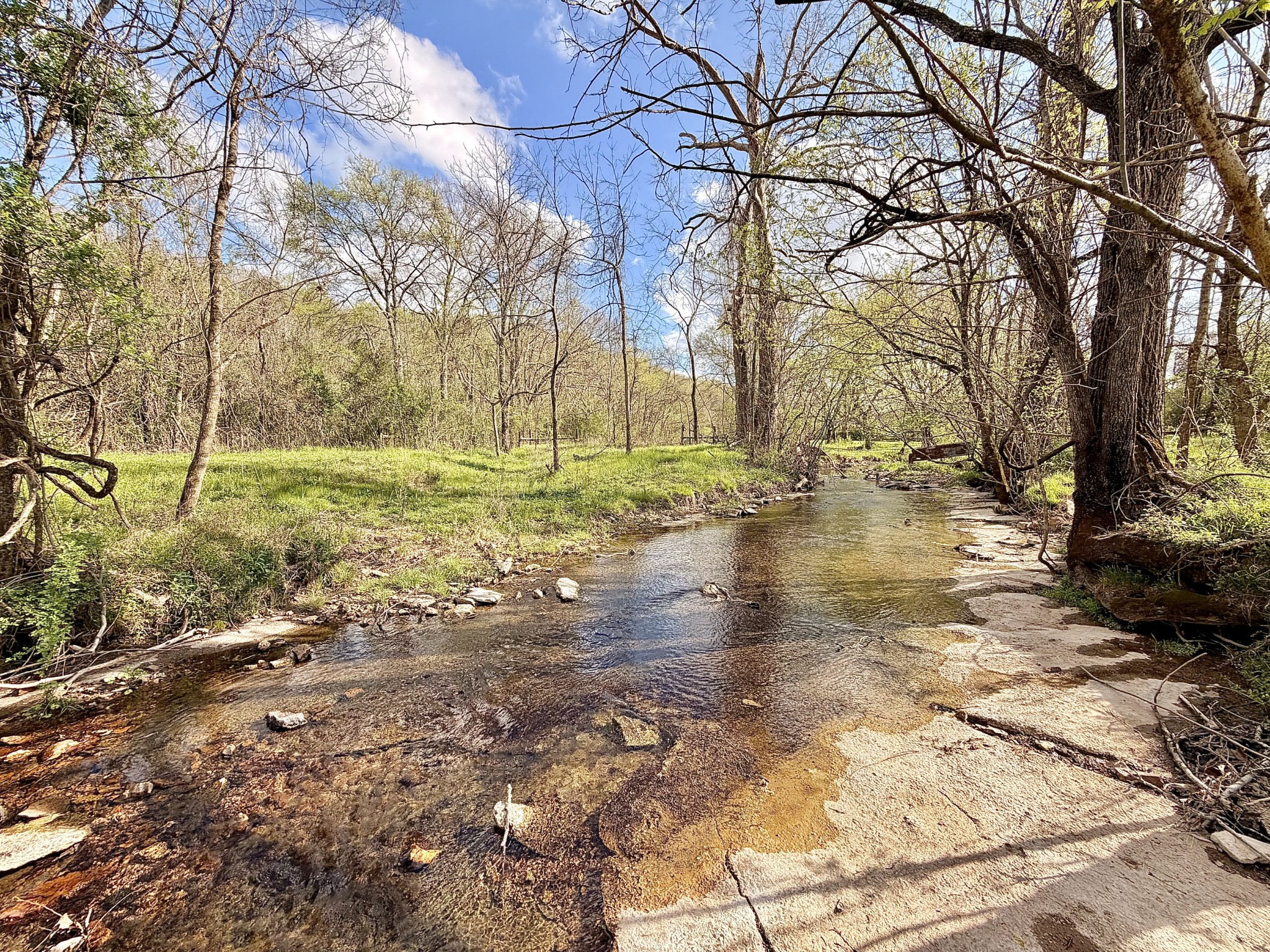 1595 Hurricane Creek Rd