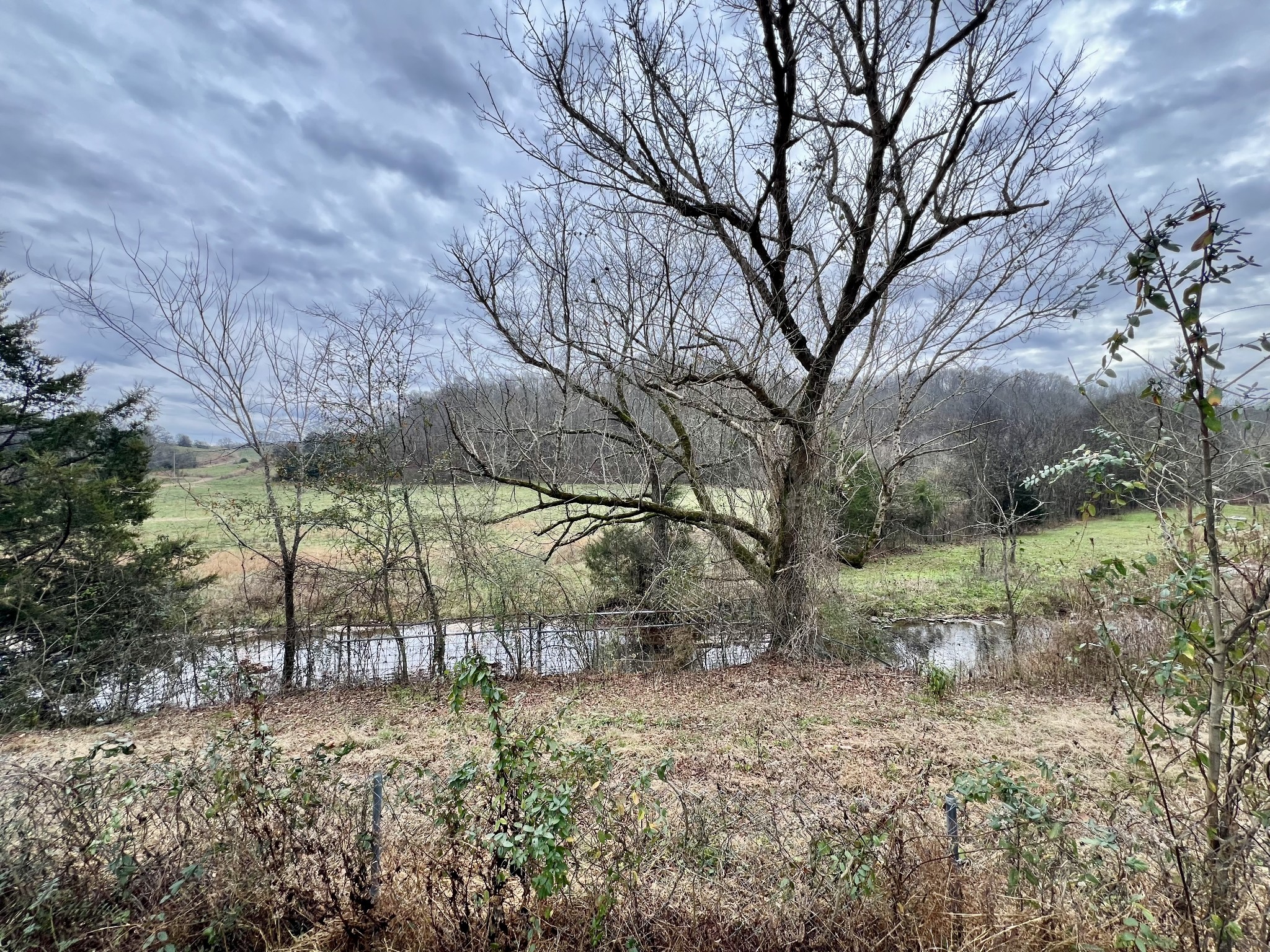 1595 Hurricane Creek Rd