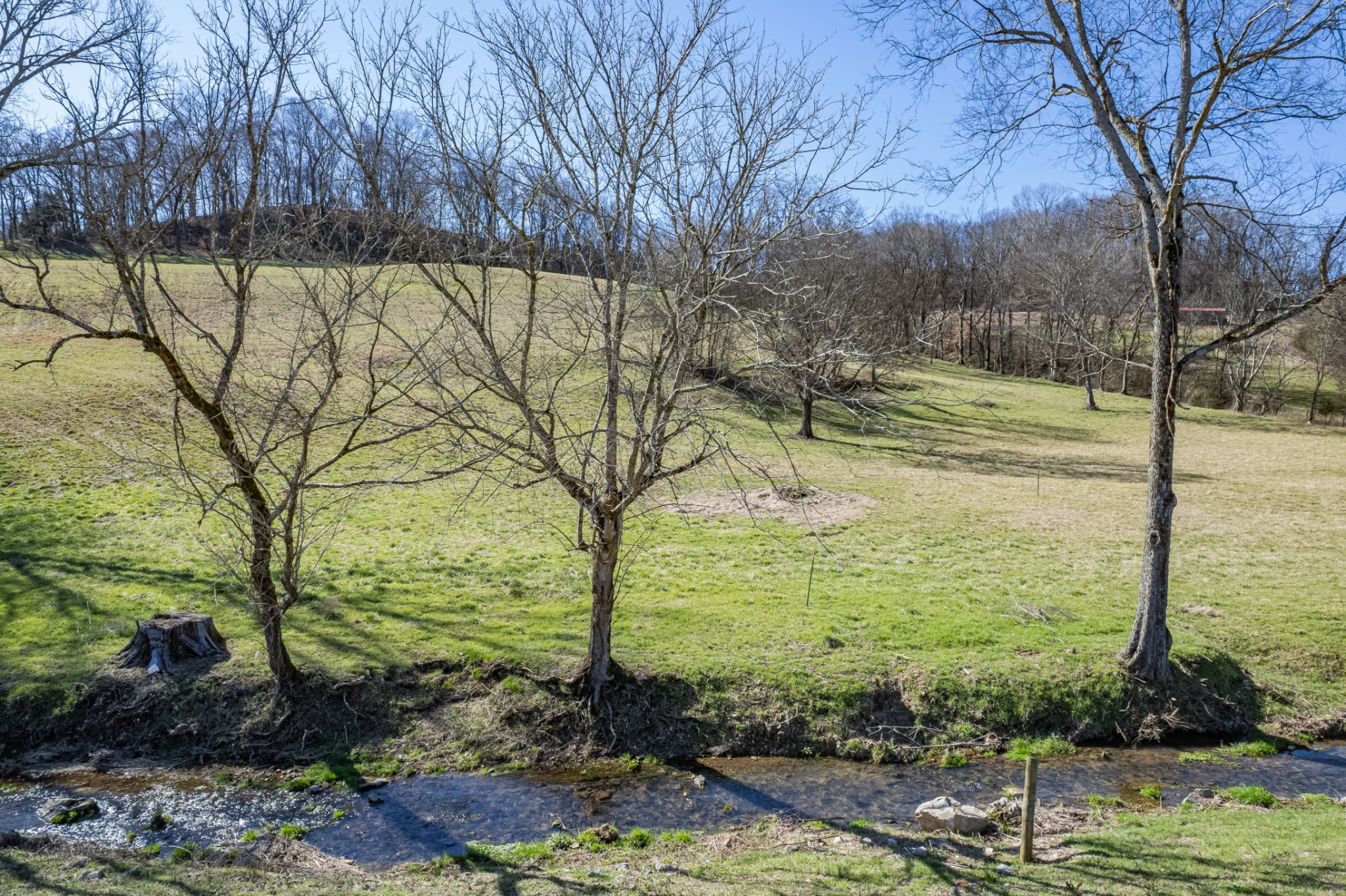 11 Gaskill Branch Rd