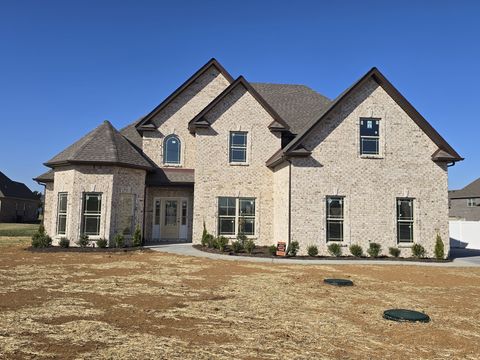 5414 Walnut Farms Blvd Christiana TN 37037