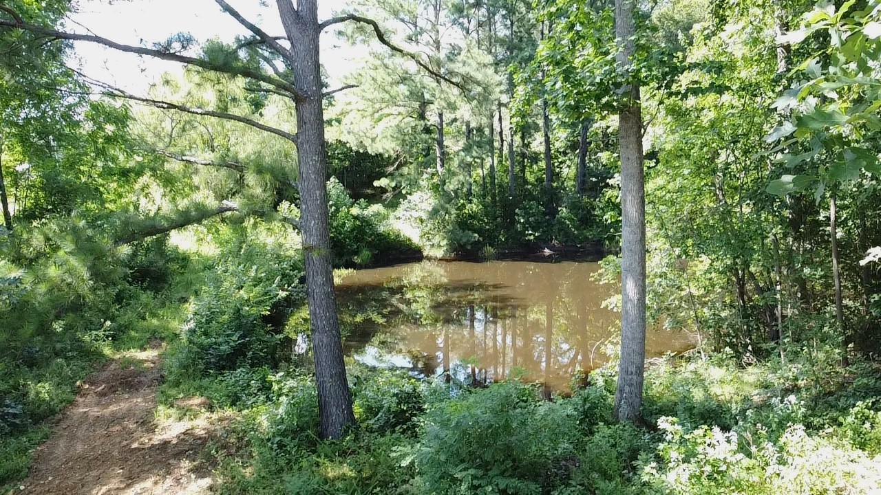1055 Chestnut Grove Rd