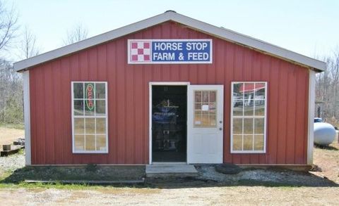 106 Cotham St Hohenwald TN 38462