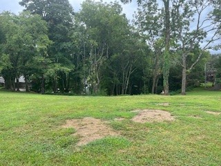 0 Cline Ridge Rd