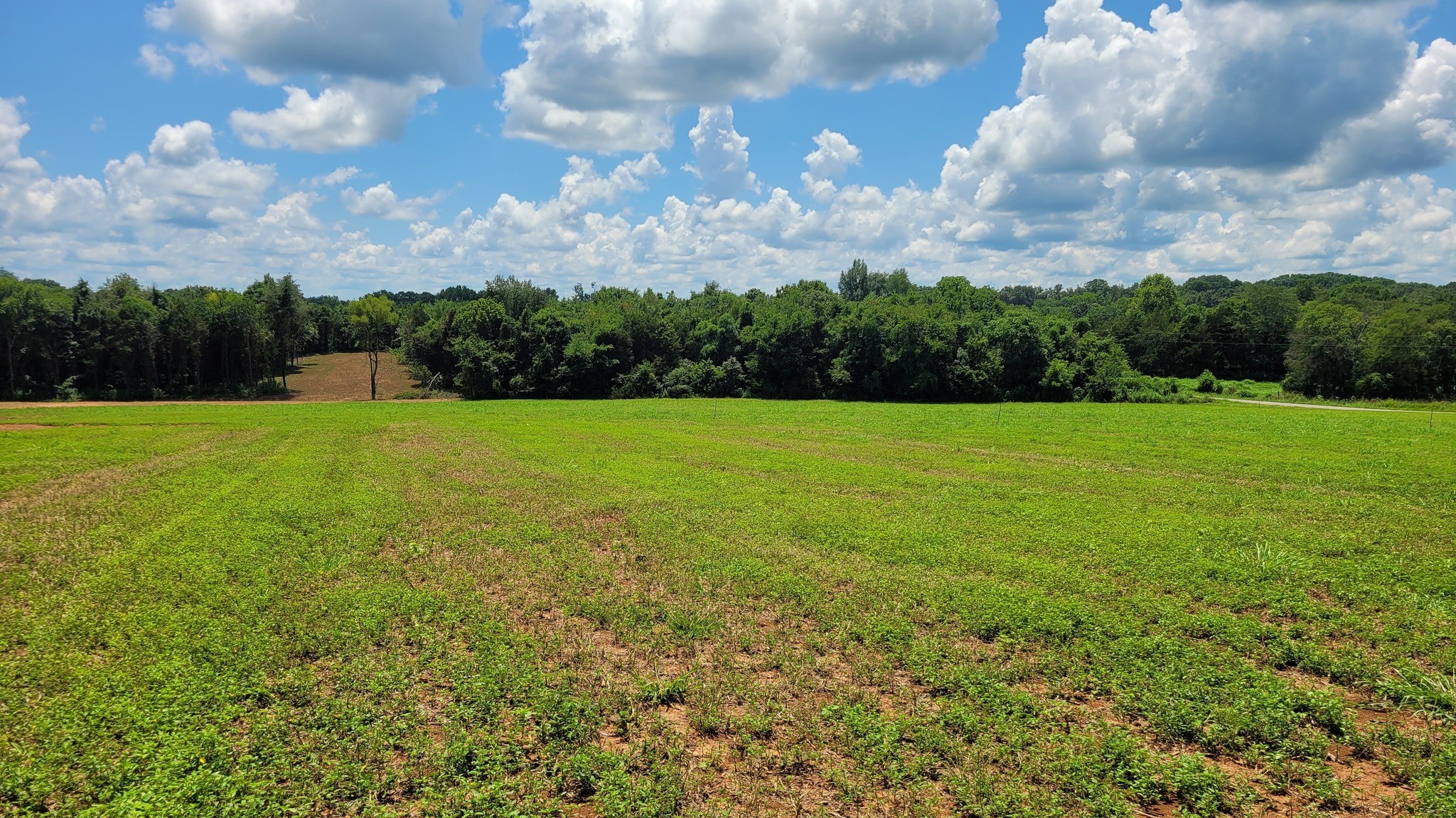 6 Mount Lebanon Church Rd