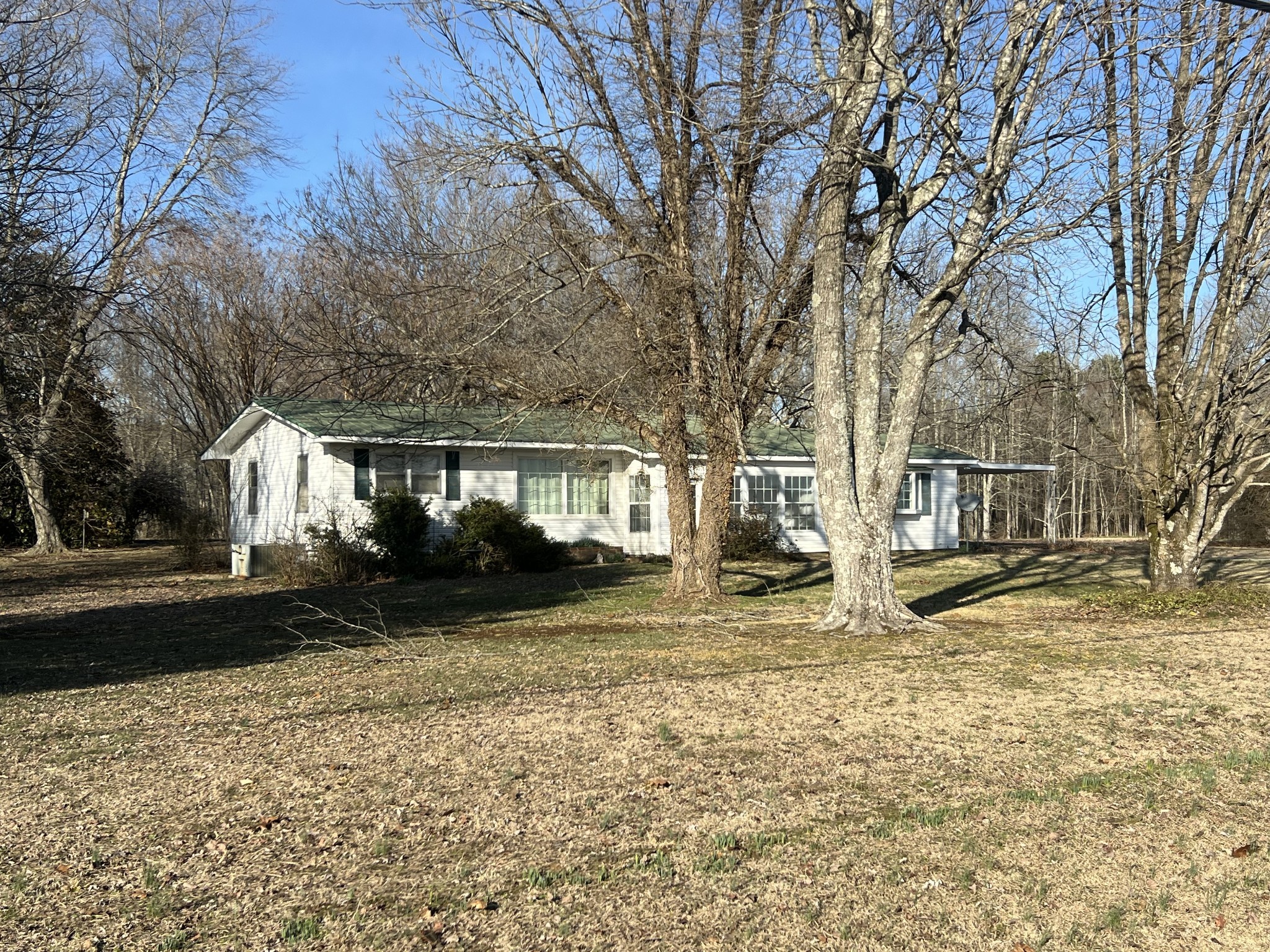 Listing image 1