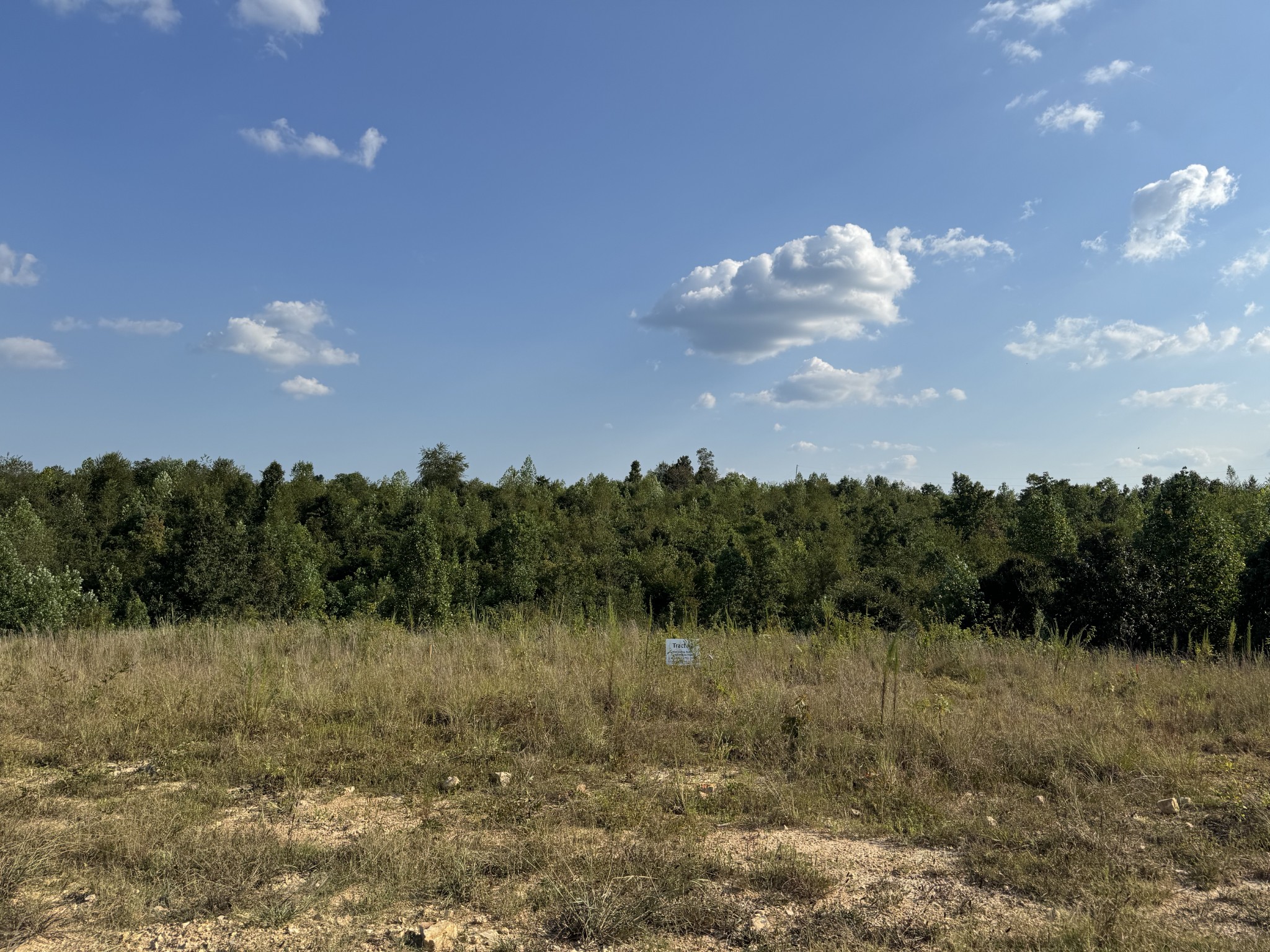 169 Twin Pines Rd