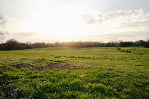 Photo of 1652 Guy Ferrell Rd, Franklin, TN 37067 (MLS # 3166158)