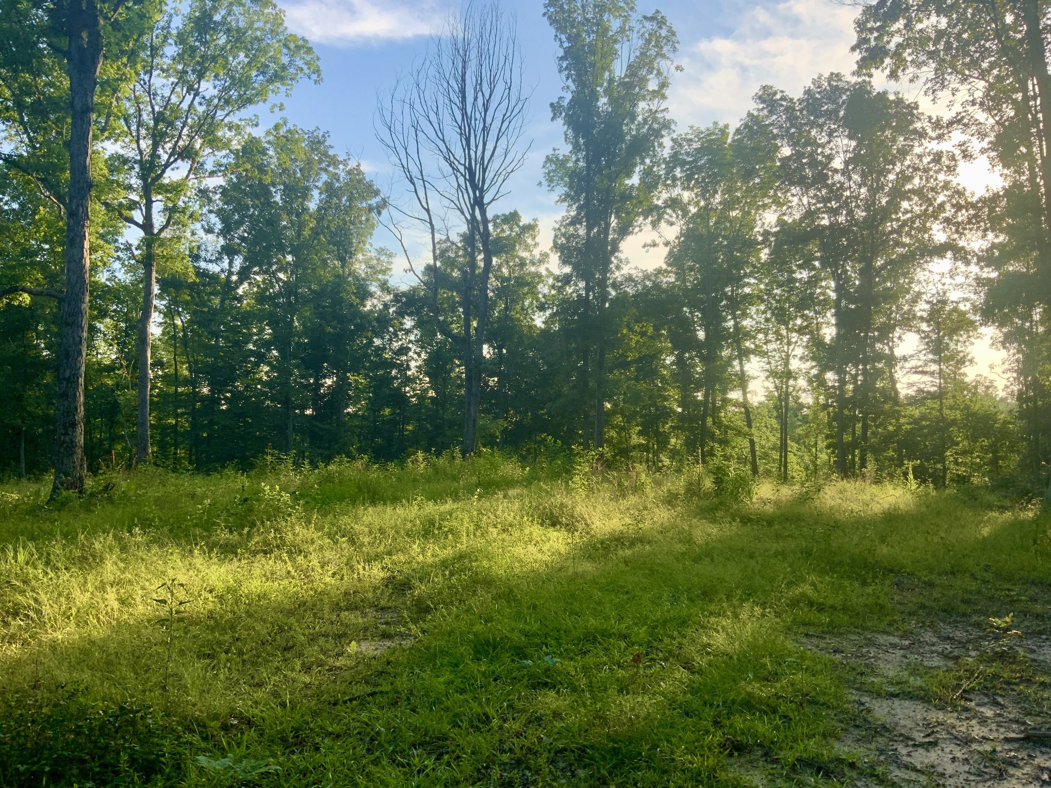 0 Wildlife Road