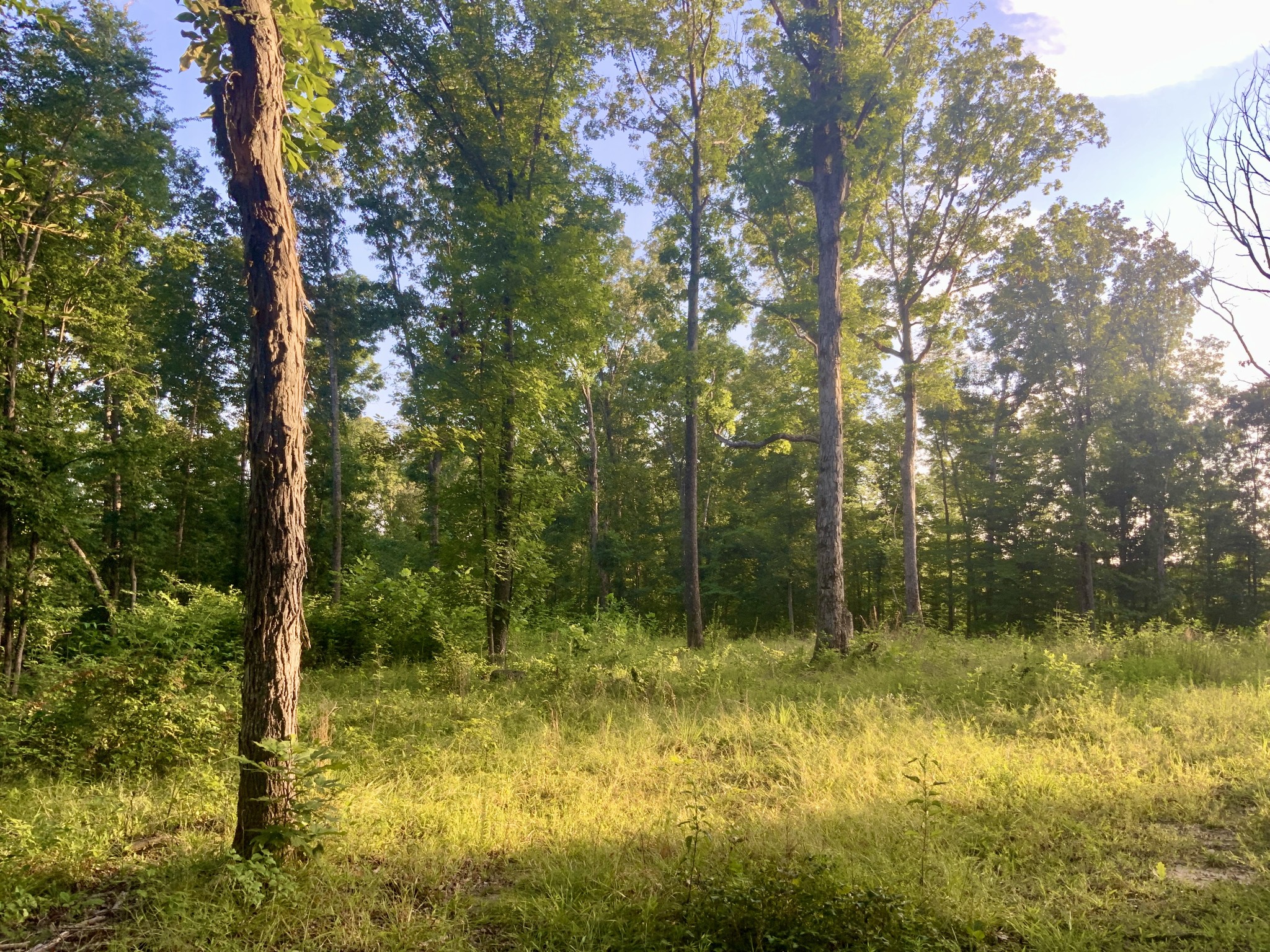 0 Wildlife Road