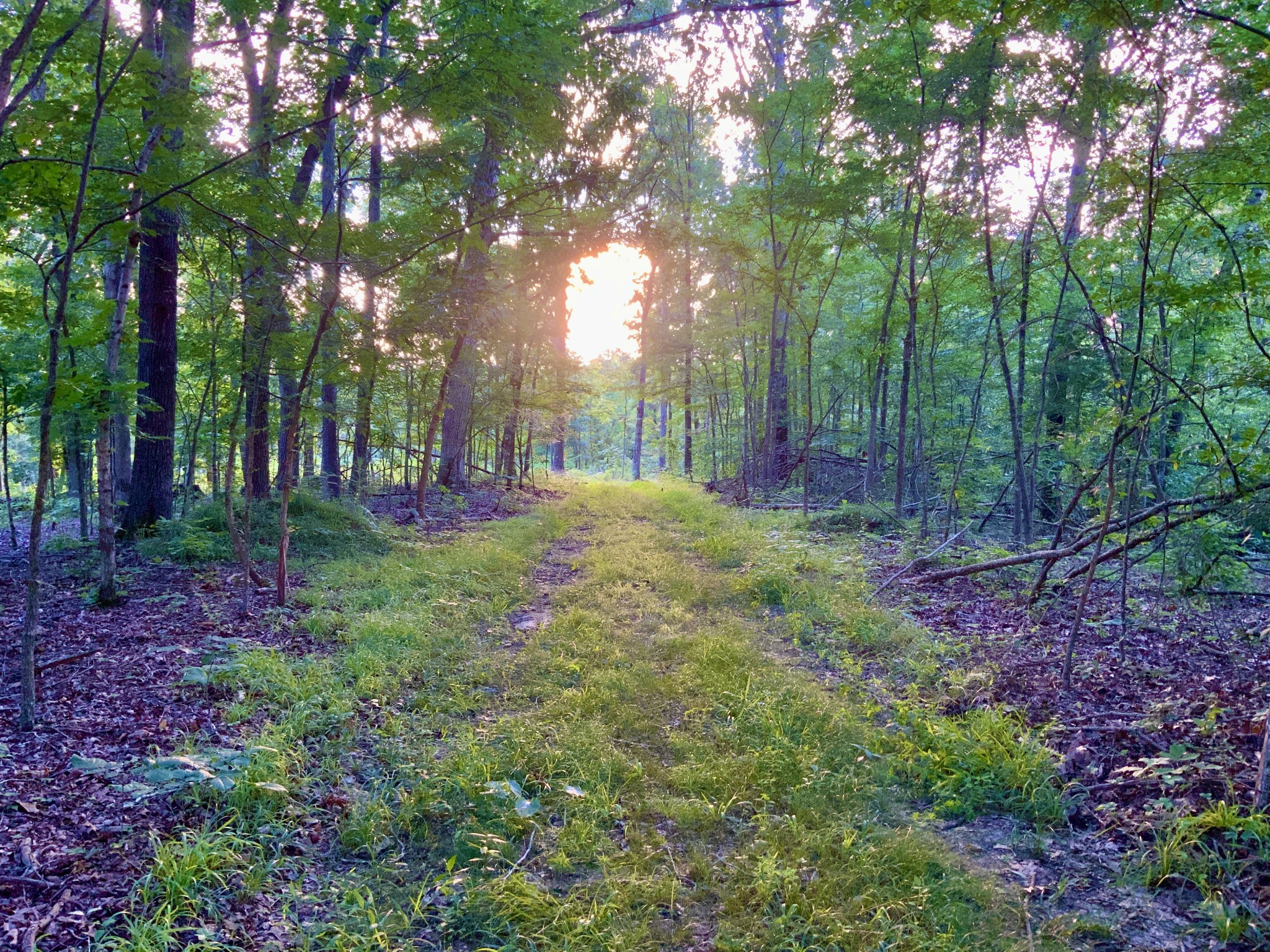 0 Wildlife Road