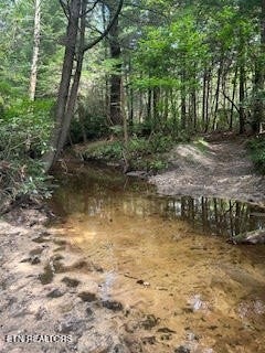 0 Ridge Top Drive