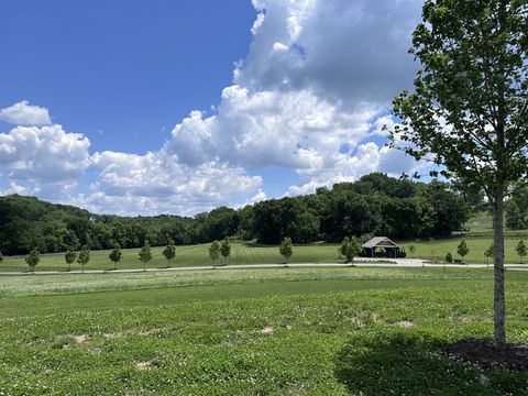 9004 Passiflora Ct College Grove TN 37046