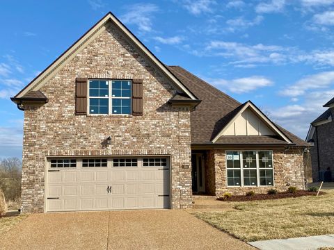 Photo of 254 Hutch Ct, Gallatin, TN 37066 (MLS # 3073062)