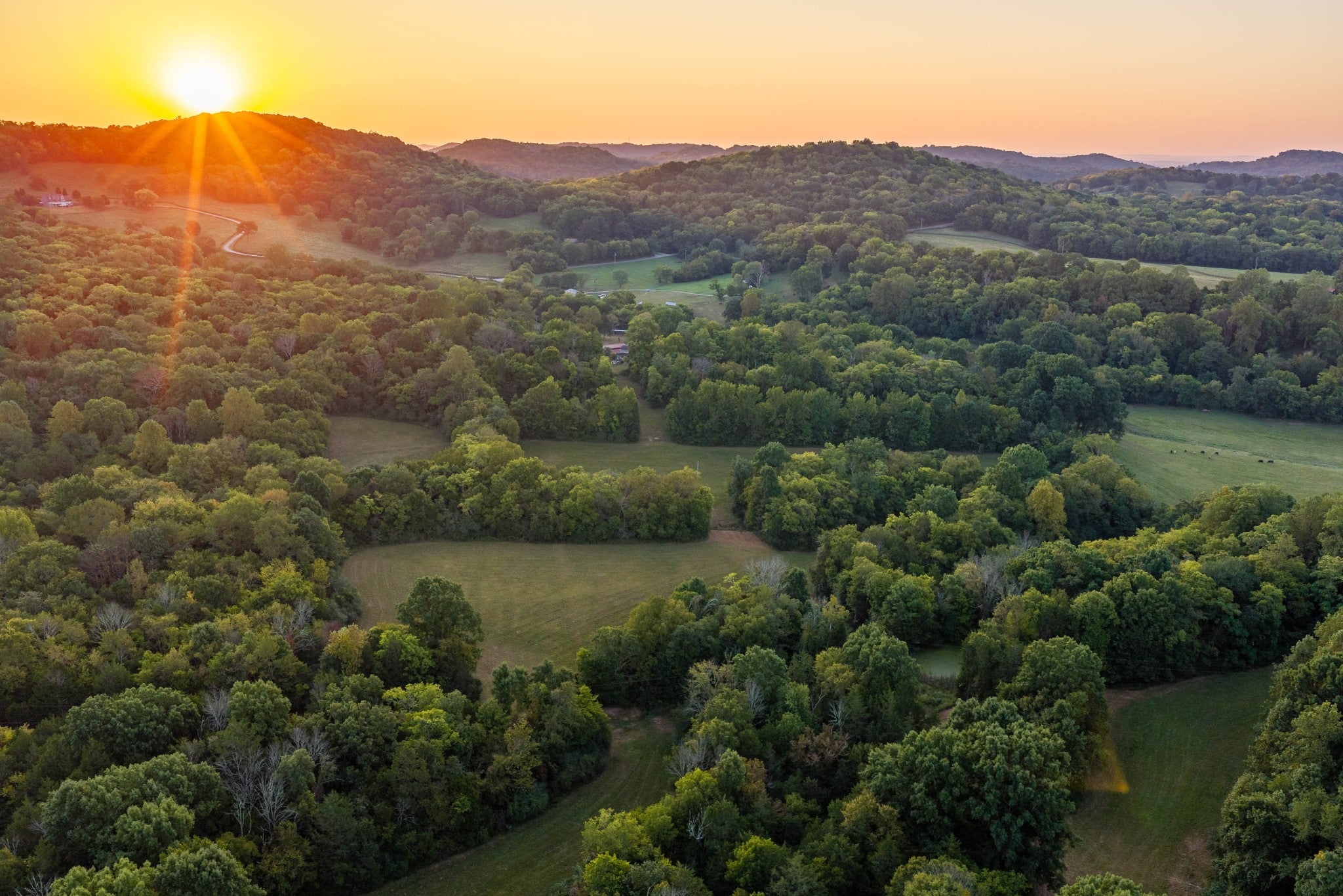 listing at 0 Choctaw Road College Grove, College-Grove