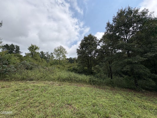 MIDWAY RD, STRAWBERRY PLAINS, TN 37871 - Image 8bdffbc1f4ec6d5c530e2e69a53a865b/1866863752