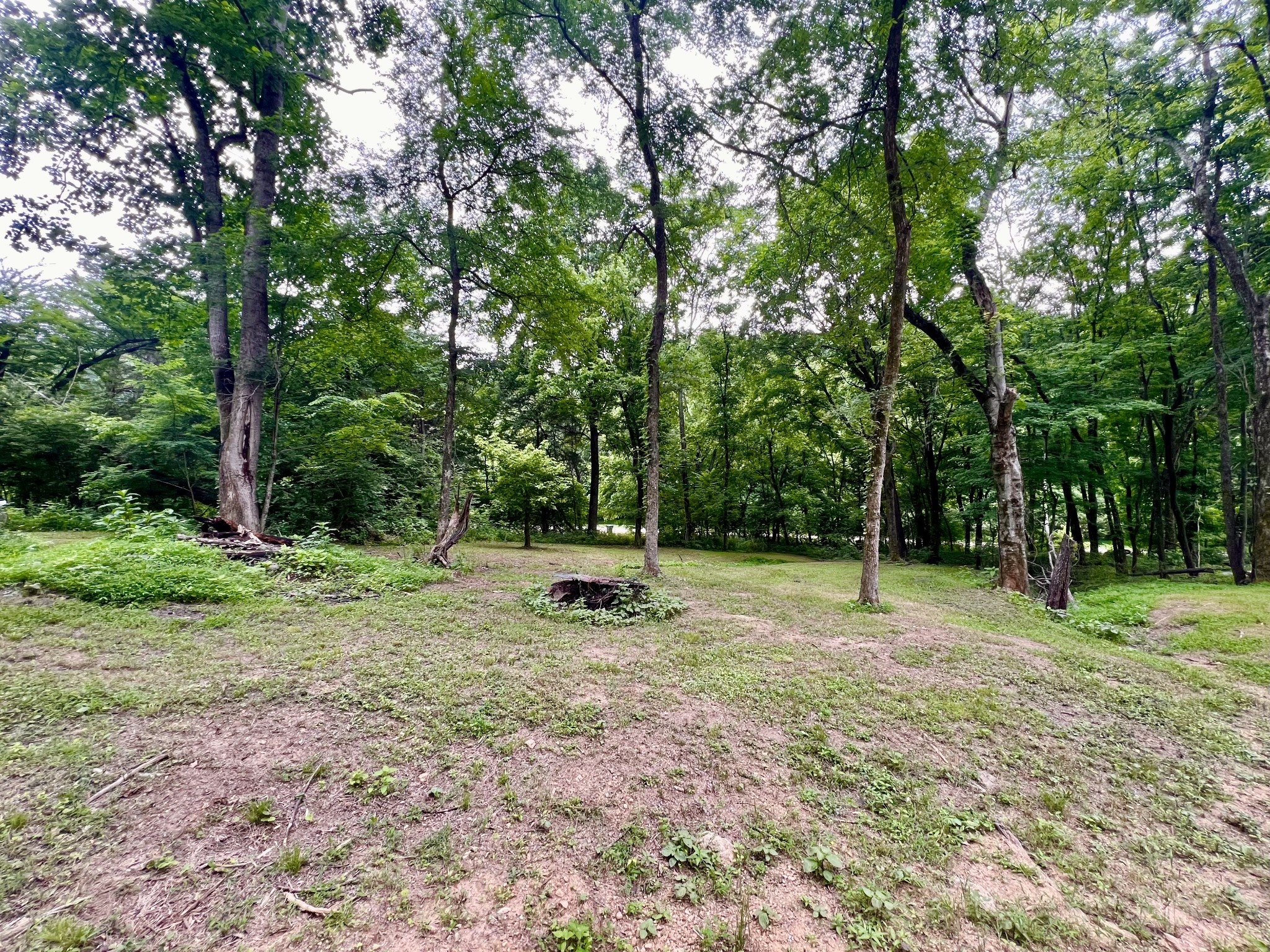 1173 Cedar Hurst Ln
