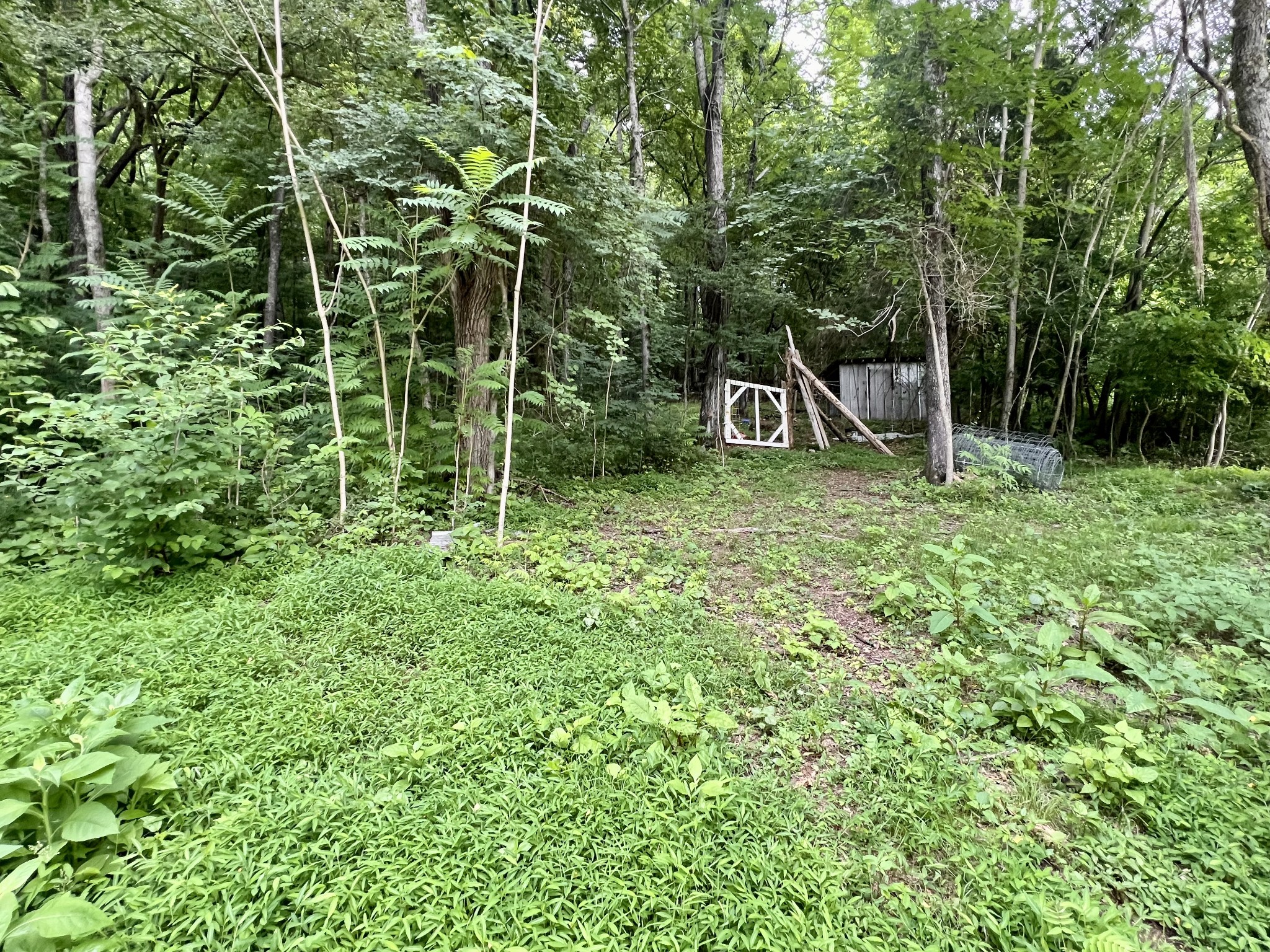 1173 Cedar Hurst Ln