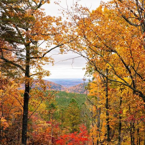 0 Worley Road Soddy Daisy TN 37379