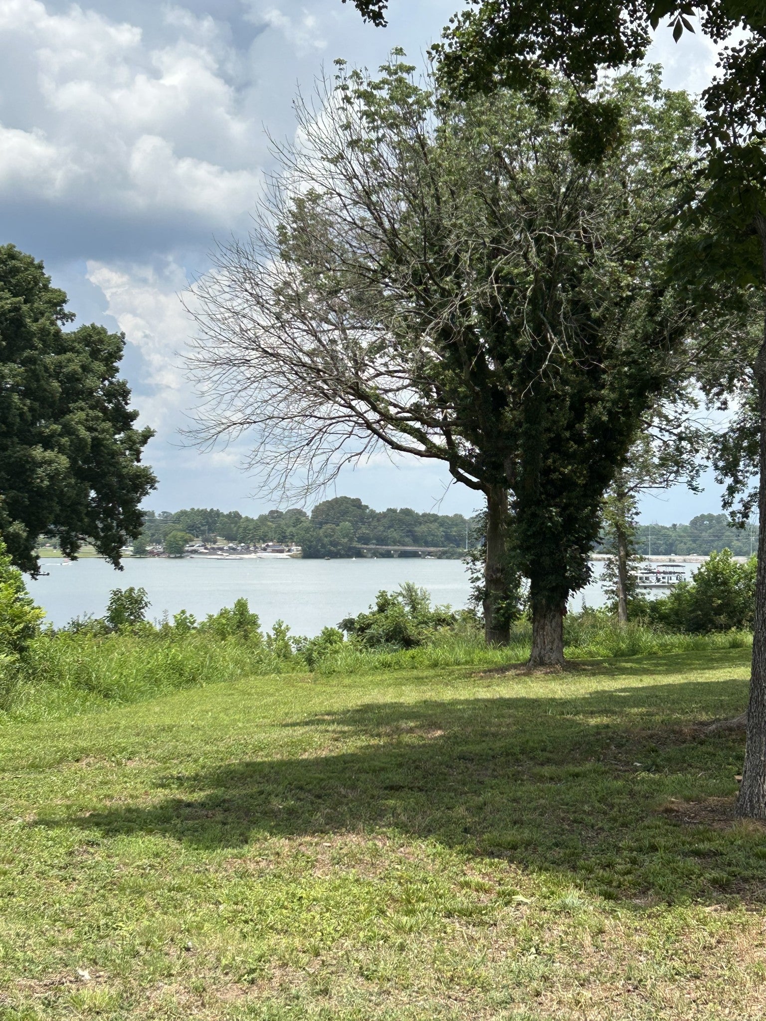 221 Hammock Dr