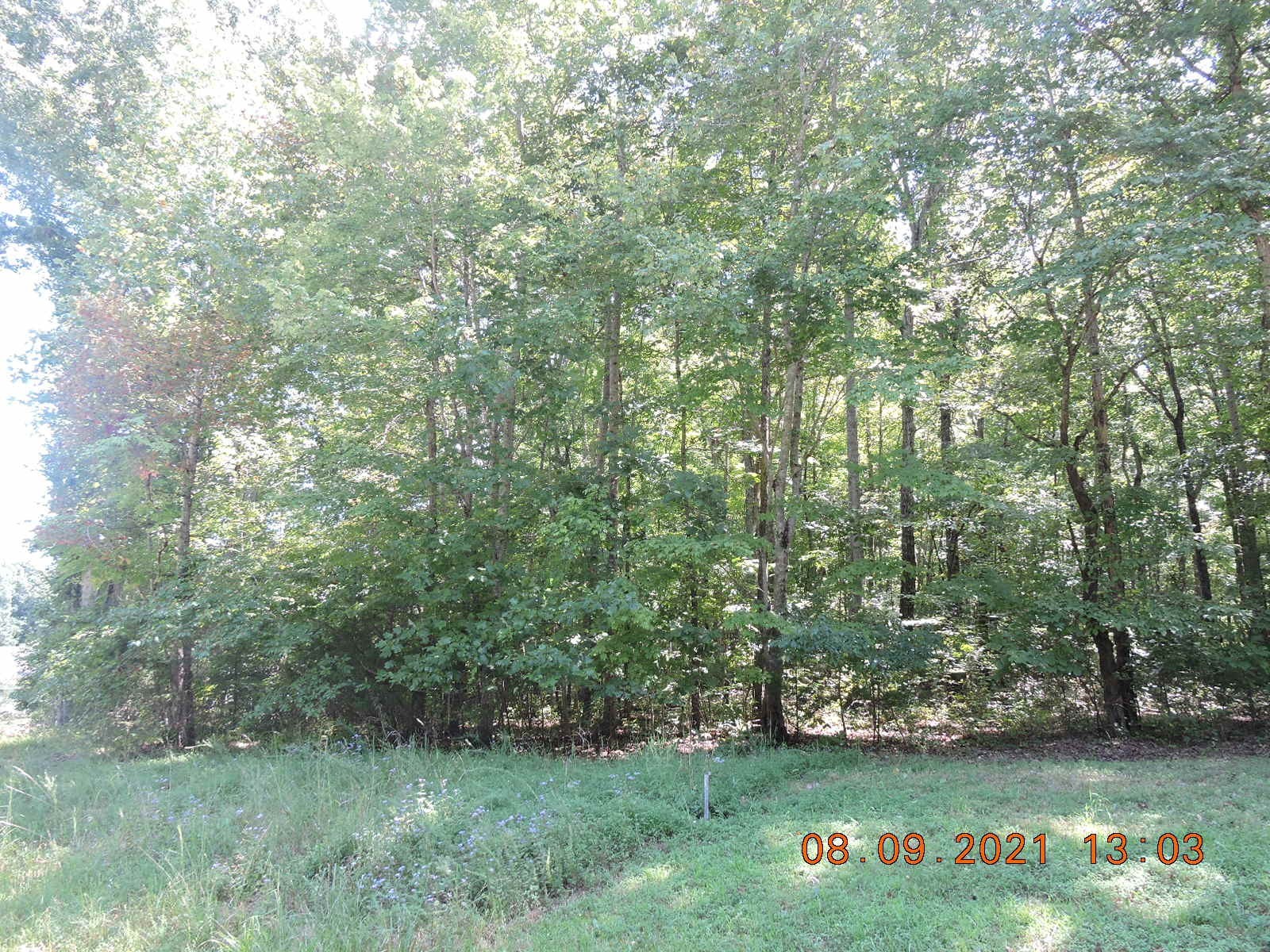 0 Hasty Ln Lot 1