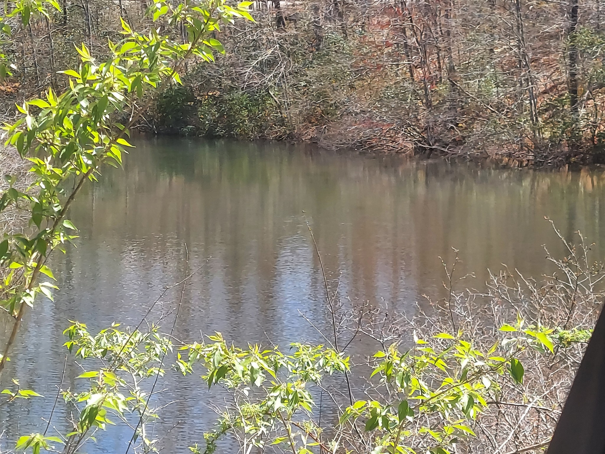 0 Rhonda Rd