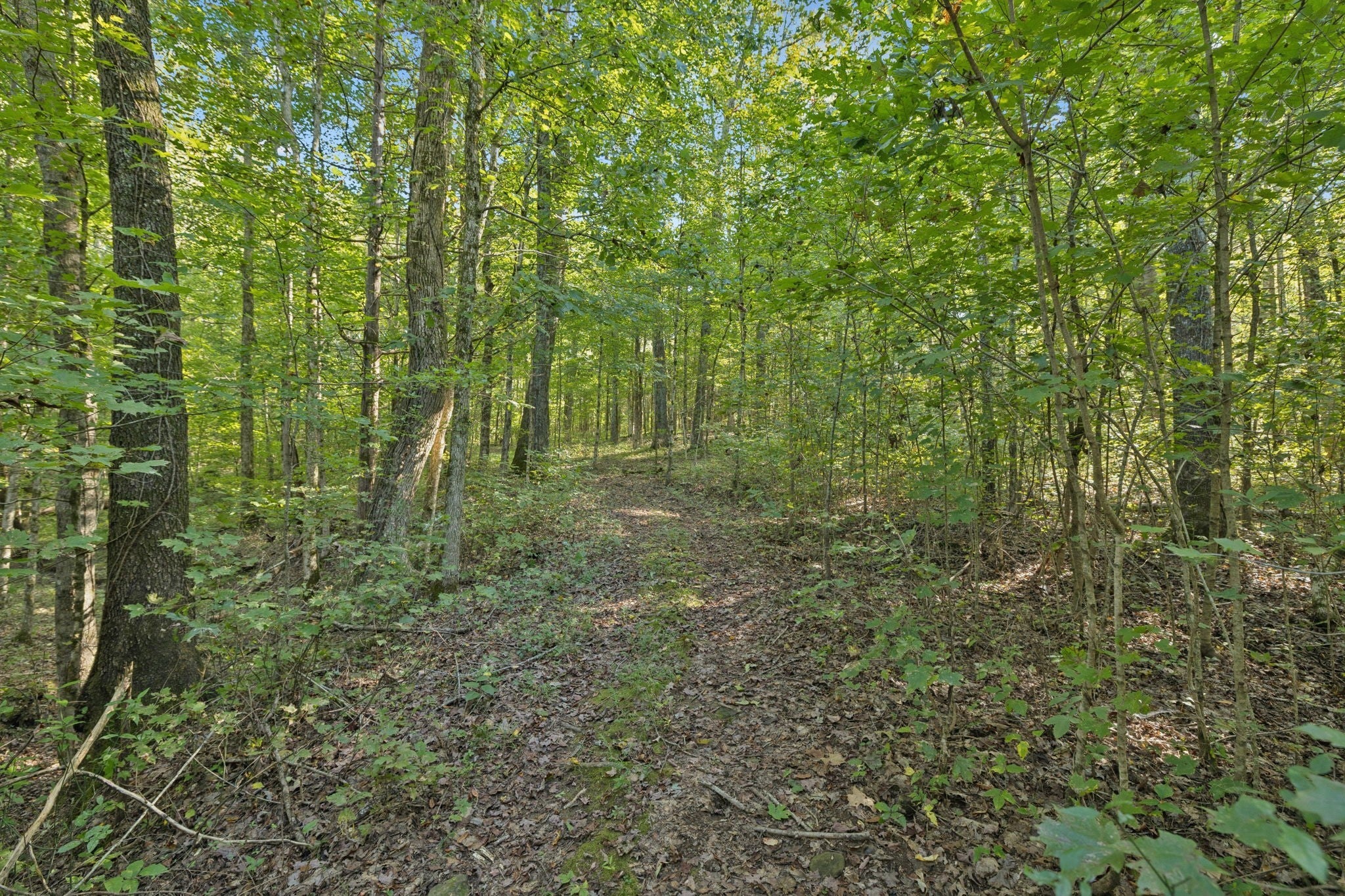8435 Taliaferro Rd