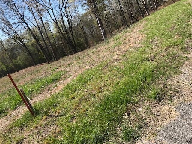 9 Piney View Drive