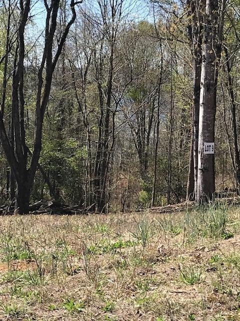 9 Piney View Drive