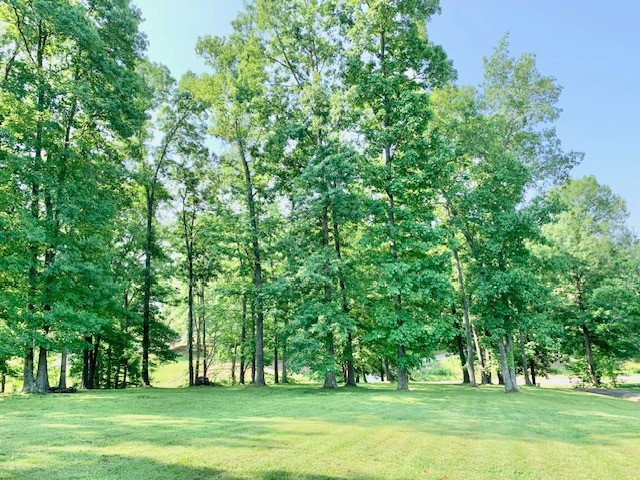 6184 Dewey Carr Rd