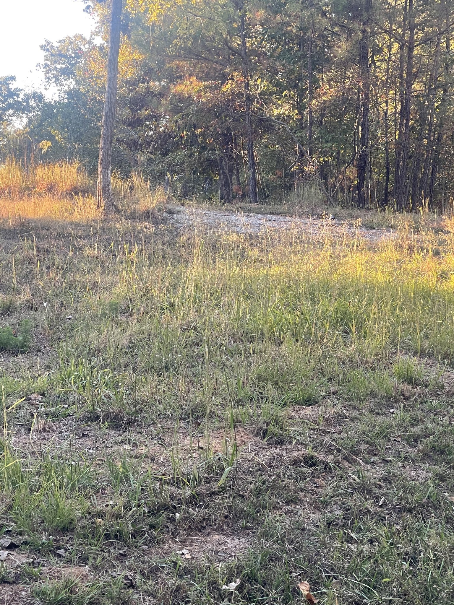 0 Pineview Road