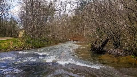 642 Goodman Branch Rd Hohenwald TN 38462