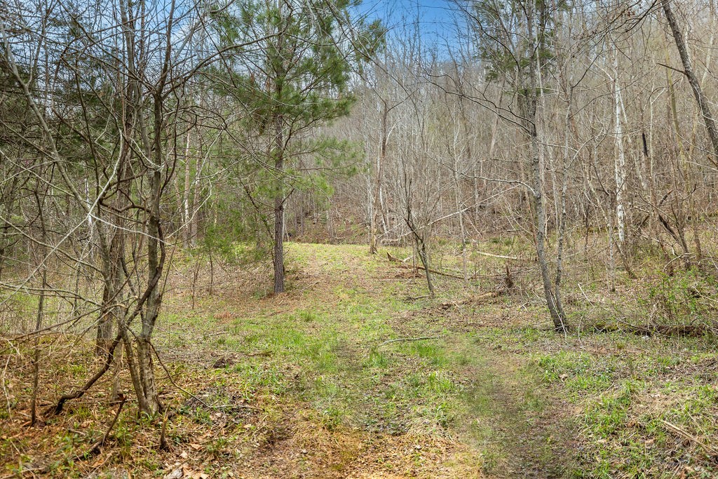 642 Goodman Branch Rd