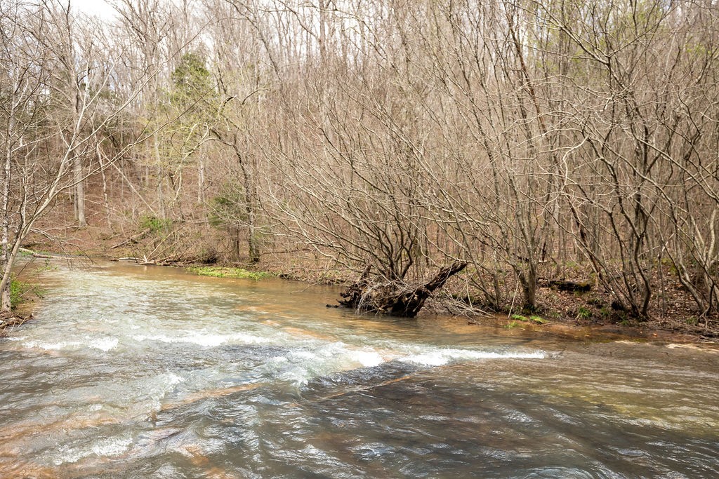 642 Goodman Branch Rd