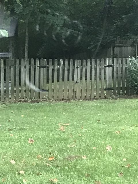 3380 Johnson Road W Only TN 37140